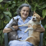 Tem animais em casa? Este ‘erro’ comum entre muitos portugueses pode causar cancro em cães e gatos