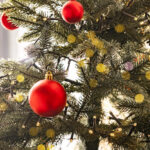 Escuteiros de Quarteira preparam Mega Tronco de Natal com 40 metros