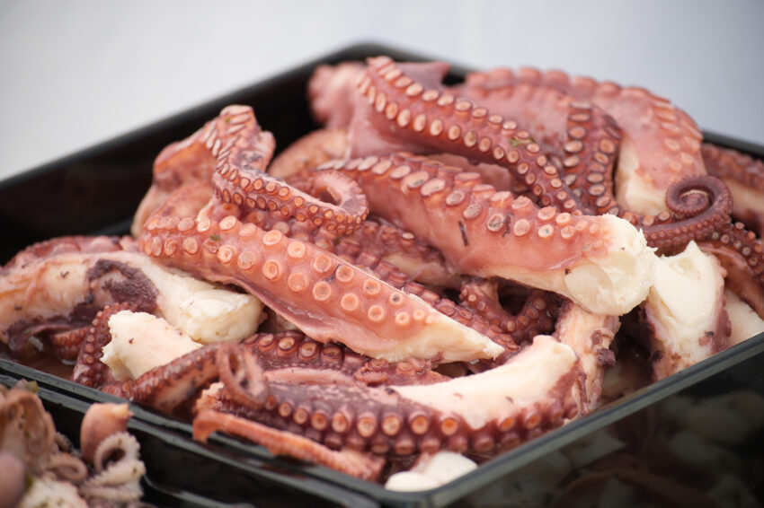 Caixa com polvos. Crédito: Freepik