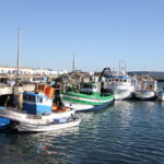 Mau tempo deixa pescadores algarvios sem rendimentos e à espera de apoios