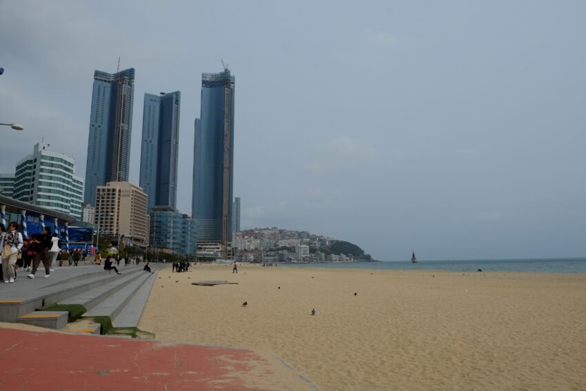 Praia com prédios ao fundo. Crédito: Freepik