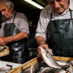 Idoso arrisca perder a reforma e multa de 19.000 euros por ter ajudado o primo na peixaria: tribunal não teve dúvidas