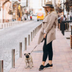 Para breve em Portugal? ADN canino é utilizado para encontrar donos nesta cidade espanhola e multas chegam aos 600€