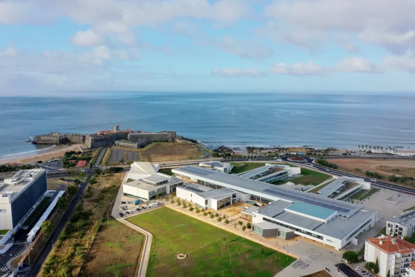 Nova School of Business and Economics.