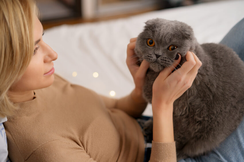 Mulher a cuidar de um gato.
