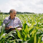 UE alerta para risco de crise alimentar por quebra de produção deste produto essencial à agricultura