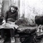 Portimão acolhe exposição sobre o Portugal rural entre 1960 e 1980