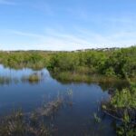 Município de Loulé avança com queixa por ‘crime ambiental’ na Foz do Almargem