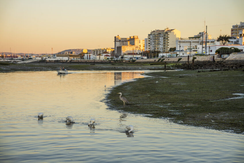 Ria Formosa com a cidade de Faro como fundo.