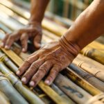 CCDR Algarve lança programa para valorizar recursos endógenos