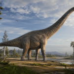 “O último titã”: novo dinossauro gigante descoberto nesta região com 27 metros de comprimento e o peso de 9 elefantes africanos