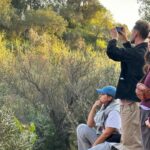 Artistas dos Açores e Algarve participam em Art Talk na Alfaia em Loulé