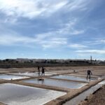 Projeto “Cabaz do Mar” regressa com visita às salinas de Tavira