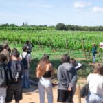 Ecotopia Activa estreia documentários sobre hortas e Dieta Mediterrânica no Festival Ecológita