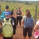 Alunos de Silves descobriram histórias e tradições ligadas ao vinho numa visita à Quinta de Mata Mouros