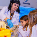 KidZania recebe novo espaço inspirado no Zoomarine Algarve