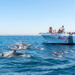 X Ride passa a integrar grupo AlgarExperience