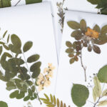 Antotipia inspira atividade artística na natureza em Santa Catarina da Fonte do Bispo