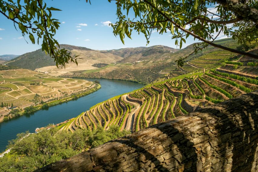Vale do Douro. Crédito: Pexels