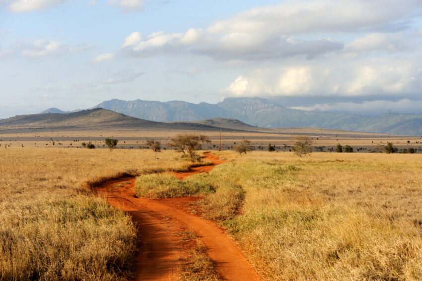 Parque Nacional do Quénia, África.