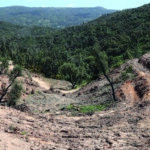 PRR já pagou 65% dos programas de gestão da paisagem, incluindo Algarve
