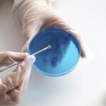 Legionella detetada em chuveiro encerra balneários da Escola Joaquim Magalhães em Faro