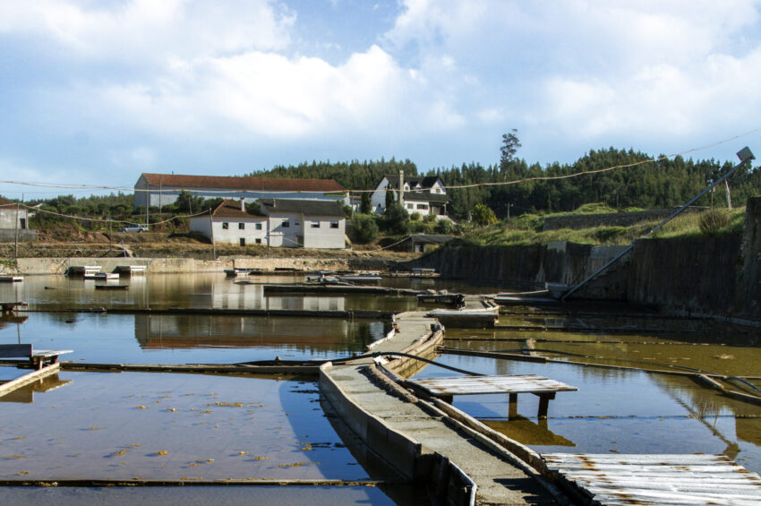 Salinas de Rio Maior.