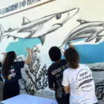 Alunos de Albufeira participaram em projeto internacional de conservação marinha