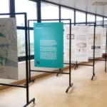 Mostra “Maestro da Paisagem” homenageia António Viana Barreto em Albufeira