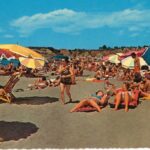 “Sol, Sardinhas e Sombreiros” leva visitantes numa viagem pela história de Portimão