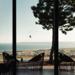 Adeus Al Sud, olá Preceito: no novo restaurante que abriu em Lagos o peixe vem do mercado e as ostras da Ria de Alvor