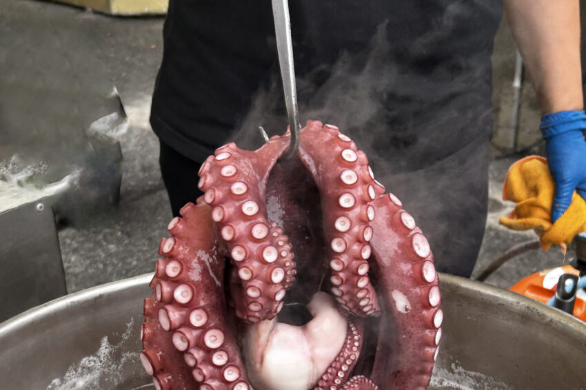 Polvo na panela.