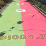 Dois irmãos pintaram uma rua de 65 metros no Alentejo para apoiar Portugal no Mundial e os vizinhos quiseram ajudar
