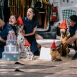 Teatro ao ar livre anima freguesias de Silves com “A Última Baforada de CO2”