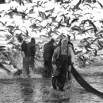Rostos do Mar: quando a fotograﬁa dá identidade ao oceano | Por Lilly Castanho