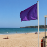 Bandeira roxa na praia? Conheça o significado do aviso que muitos banhistas ainda não conhecem