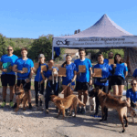 São Brás de Alportel celebra campeões nacionais de Dog Puller
