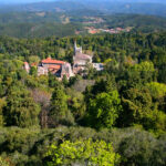 Mata portuguesa vai tornar-se a primeira Floresta Terapêutica da Península Ibérica