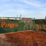 Santuário no Alentejo recebe Julie, último elefante de circo em Portugal