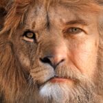 Campanha da WWF mostra como incluir a Natureza no testamento