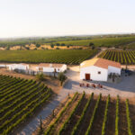 Tavira promove vinhos do concelho com nova iniciativa do “Cabaz da Terra”
