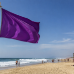 Viu uma bandeira roxa na praia? Saiba o que significa e aquilo que deve fazer