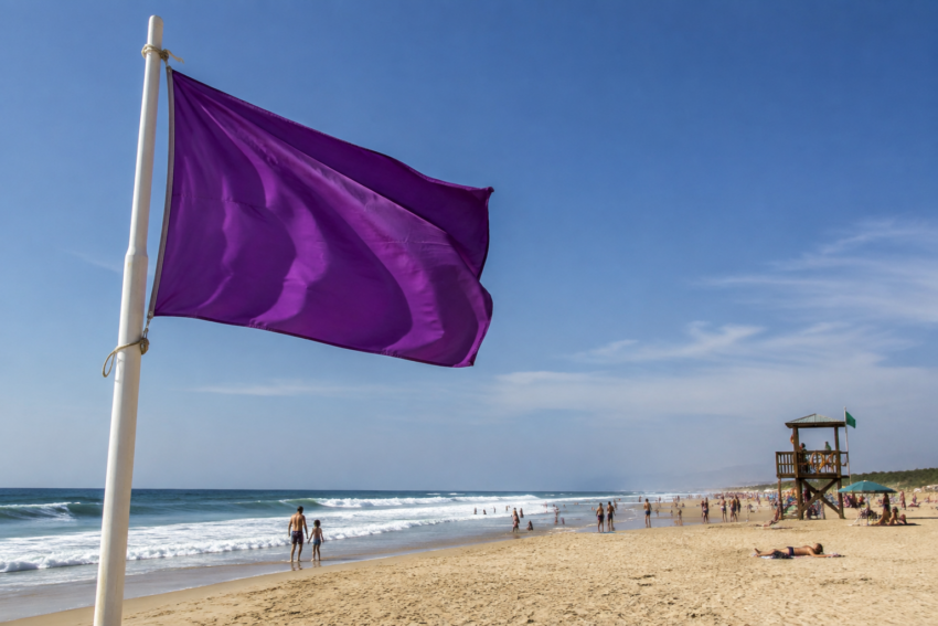 Bandeira roxa na praia. Crédito: Foto AI
