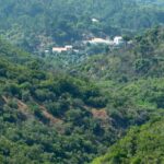 Almargem promove reflexão sobre o futuro de Monchique