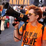 Autocarro liga Faro a Lisboa para Marcha Nacional pelo Direito de Todos os Animais