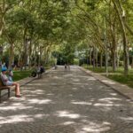 Loulé cria rede de refúgios climáticos para proteger população do calor extremo