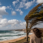 Nortada chega ‘em força’ a Portugal em setembro: rajadas de vento até 55 km/h e temperaturas acima dos 30 ºC nestas regiões
