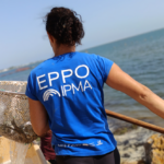 IPMA liberta mais de três mil robalos na Ria Formosa
