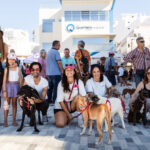 Dia Mundial do Animal mobiliza Quarteira para adoção e bem-estar animal