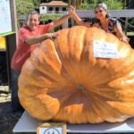 Abóbora de 905 quilos dá novo recorde nacional a agricultor de Albufeira